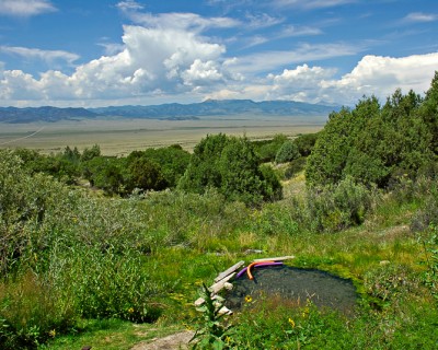 Meadow Pond